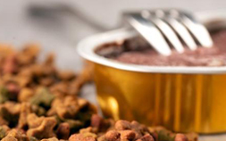 Ingredientes y aditivos para productos de consumo