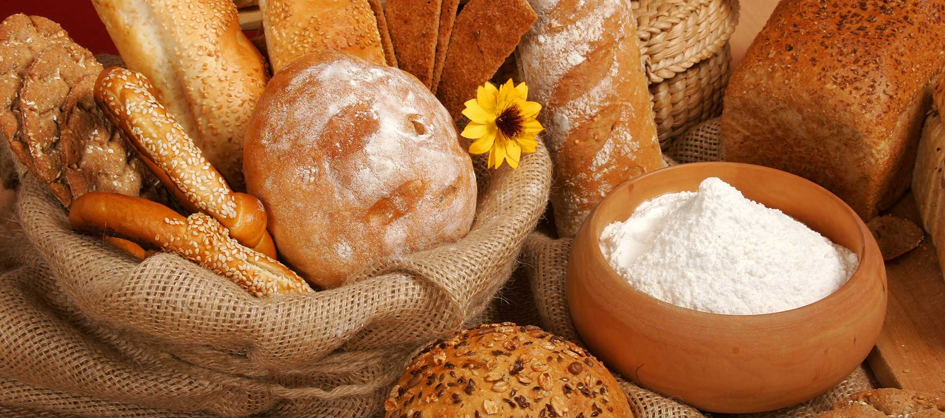 Ingredientes y aditivos para panificación y galletería