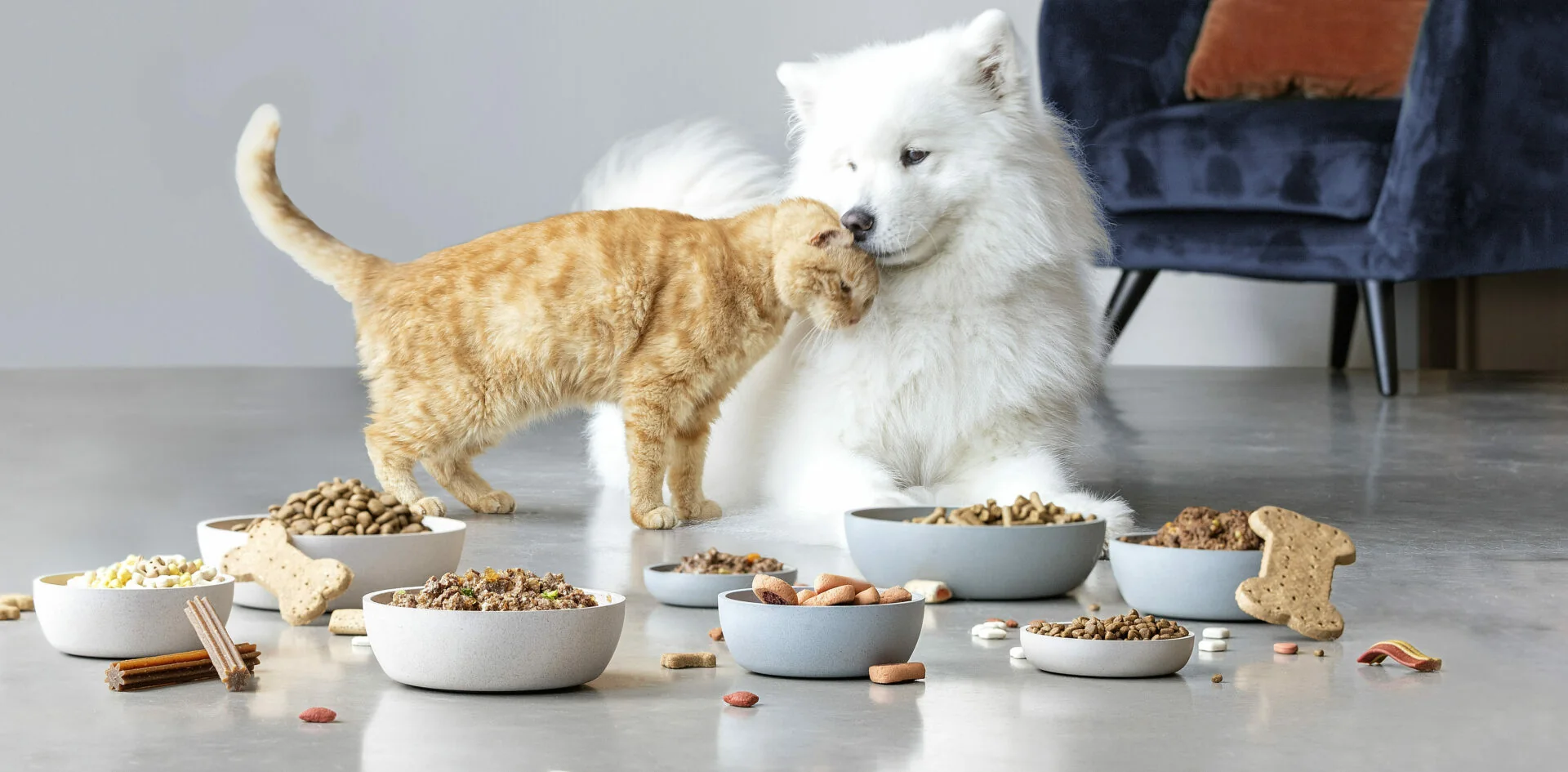 Ingredientes para alimentos para animales